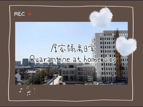 Vlog 11 ｜上海居家隔离办公日记 Quarantine diary