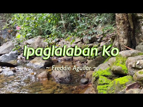 IPAGLALABAN KO - (Karaoke Version) - in the style of Freddie Aguilar