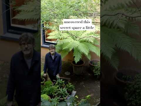 Nigel Slater’s hidden courtyard garden filled with ferns and green plants #garden