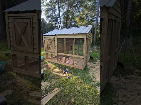 We built a chicken coop out of lumber I sawed #diy #country