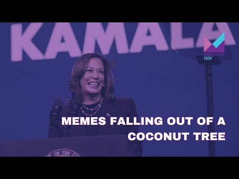 Memes Falling out of a Coconut Tree | Bytes: Week in Review | Marketplace Tech