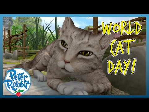 @OfficialPeterRabbit - 🌍🐈 World Cat Day! 🐈🌍 | 20+ MINS | Cartoons for Kids