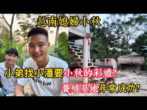 【越南媳婦小秋】養殖場很成功，小弟找小潘要姊姊的聘金？小弟準備賣土地隨禮？越南酒席讓小舅子出錢辦嗎？