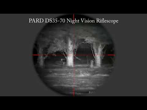 PARD TA62 Thermal and DS35 Night Vision in use, FOX CONTROL PROTECTING LIVESTOCK, Full Reviews soon