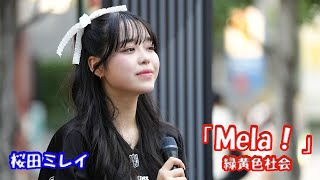 総再生数2億越え！【歌ってみた】 桜田ミレイさん 緑黄色社会「Mela！」路上ライブ