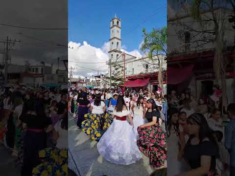 Que bonito bailan Las Gentes de Cerrillos en La Procesión de La Virgen de Guadalupe