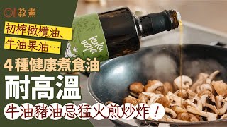 健康食油｜橄欖油可煎炸花生油易致發炎？4款最耐高溫牛油果油第1｜教煮｜食用油｜橄欖油