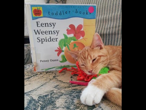 Storytime with Ru: The Eensy Weensy Spider