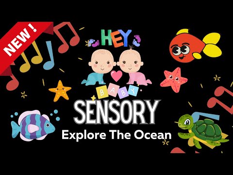 Hey BABY | Explore The Ocean | For Baby's Sensory Development 4k | #sensory #music #colourful