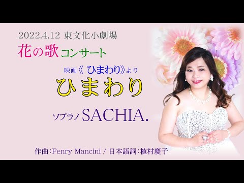 ひまわり　ソプラノ歌手 SACHIA ソプラノsachia