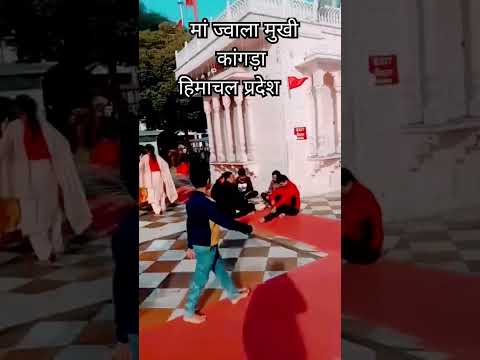 जय ज्वाला तेरो ध्यान जगोलो 🕉️| Jai jwala meri Ambika Chandika 🙏🏻 जय #surkandadevi #shorts