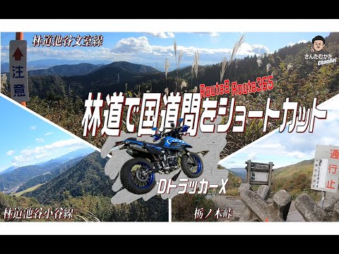 【DトラッカーX #146】滋賀福井県境・栃木峠巨大バリアでの通行止めと林道で国道365号線から8号線へのショートカット　林道太田谷線～池原小谷線～池原文室線～余呉塩津線【滋賀】【日帰りツーリング】