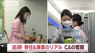 “移住＆兼業”現役CAの奮闘　「製茶店」「銀行員」に…地方では“別の顔”【Jの追跡】(2023年1月21日)