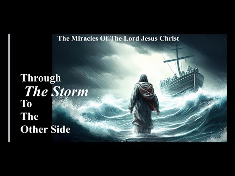 Chris Reed | THROUGH THE STORM TO THE OTHER SIDE | Jesus Revolution Church | 11-24-2024