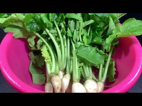 How to make stir-fried radish delicious? The method my grandma taught me, it is tender an