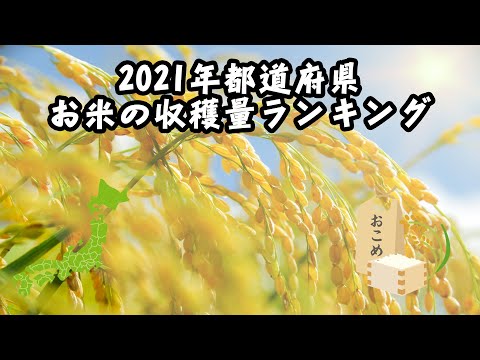 【農林水産省】都道府県 お米の収穫量ランキング【2021年】