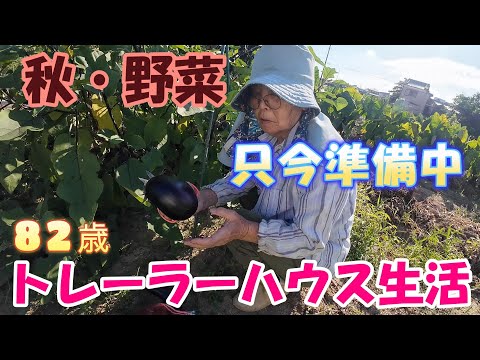 【トレーラーハウス生活】今年は暑すぎて秋野菜の準備が進まない　#343