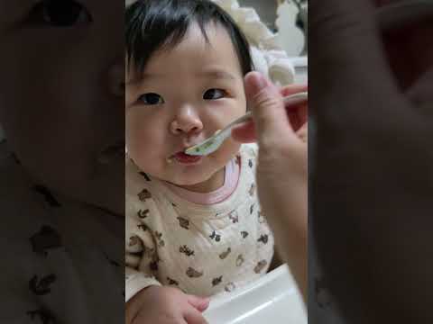 離乳食で初めてのうどんを食べる0歳児【277Days】 #baby