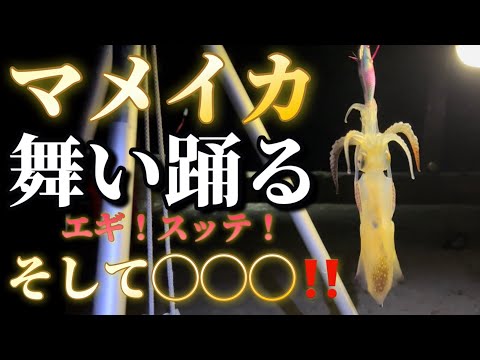 【北海道】【釣り】マメイカ新たなアイテム◯◯◯！ホッケ入れ食い！無限イワシ！