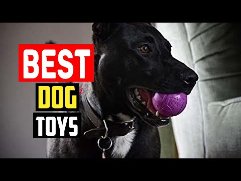 ✅Best Dog Toys for Tough Chewers in 2023