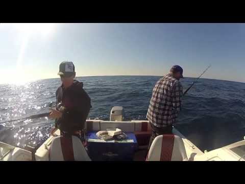 Spence & Wookiee, Deep 'n' Dry - Fishing Offshore Rockingham