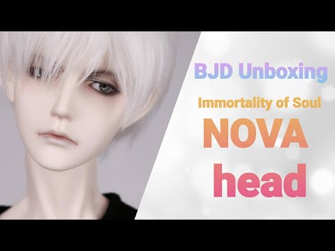 Unboxing BJD IOS Nova head