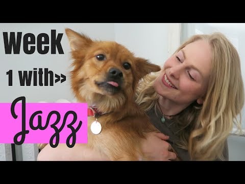 My FOSTER DOG'S First Week | What it's Like to Foster a Dog