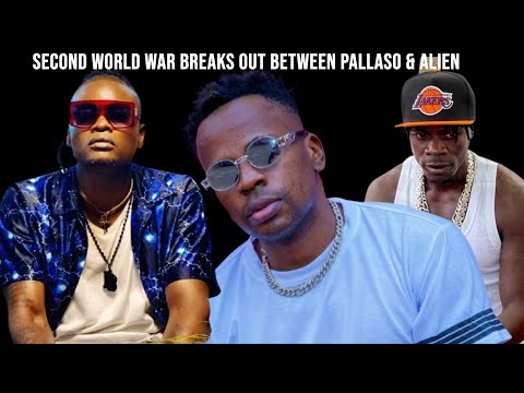 Crysto Panda narrates how the fight between Alien Skin and Pallaso started.