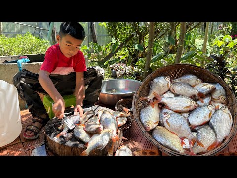 Yummy jackfruit cook with river fish - Jackfruit recipe - Chef Seyhak