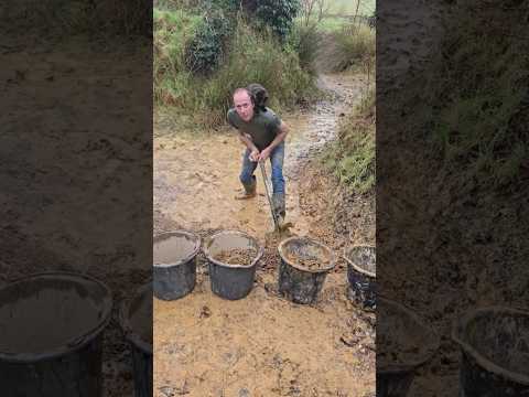 Why I cut the pond channels by hand  #landscaping #permaculture #fitnessmotivation #mud #cat #ponds