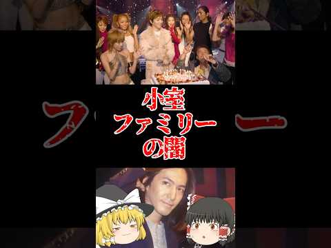 【ゆっくり闇の界隈】小室ファミリーの闇をゆっくり解説#ゆっくり解説 #都市伝説 #芸能人