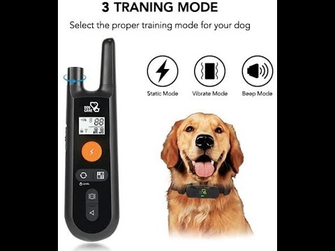 Collar de entrenamiento de perro/Dog Training Collar-Rechargeable,Training Modes,Waterproof Collar.