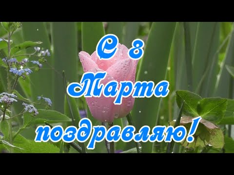 С 8 марта поздравляю! С Международным Женским Днем!