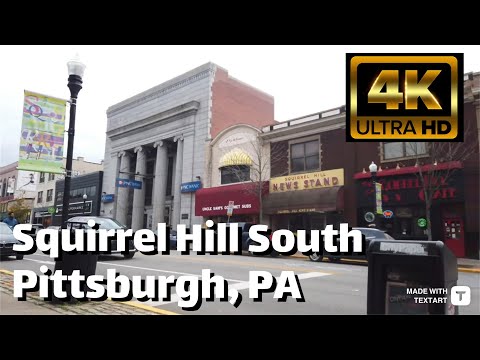 Pittsburgh - Squirrel Hill South (Forbes/Murray)- Day Walk - 4k HDR