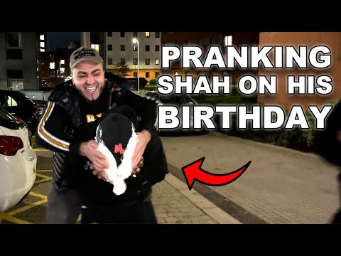 PRANKING SHAH ON HIS BIRTHDAY | Munchies Weekly EP. 13