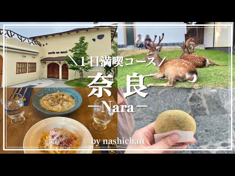 [vlog]奈良観光スポット巡り🦌/プリンの森🍮/奈良公園