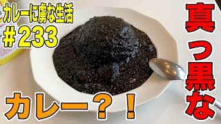 本日より下北沢カレーフェスティバル編！！まずは本格イタリアンのかりべ亭さん！カレーフェスティバル限定の絶品の一皿！カレーに虜な生活＃233