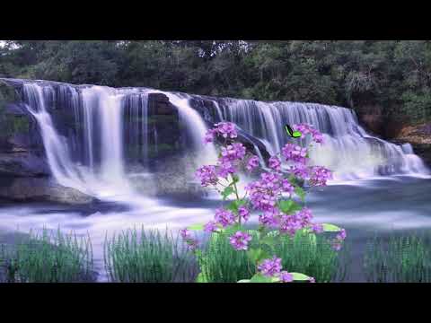 A Meditation In a Japanese Paradise 2- H-HD Video