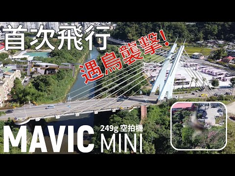 #DJI #MAVIC MINI 首次飛行體驗