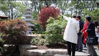 Opening the Itabashi Garden in Burlington