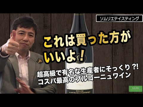 【ソムリエ絶賛】超高級で有名なブルゴーニュにそっくりな味?!　コスパ抜群のブルゴーニュ｜アグリワインチャンネル