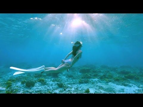 11月の沖縄、座間味島阿真ビーチでビキニで早朝素潜り！ Recreational Freediving