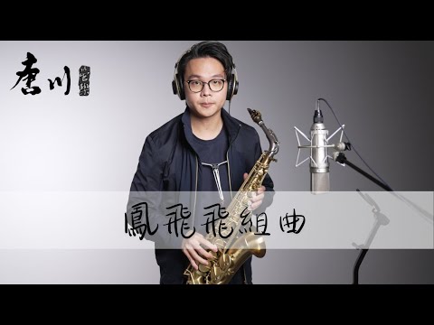 【Cover系列】鳳飛飛組曲(巧合、我不能沒信心、奔向彩虹) 鳳飛飛 薩克斯風 - Willy Saxophone