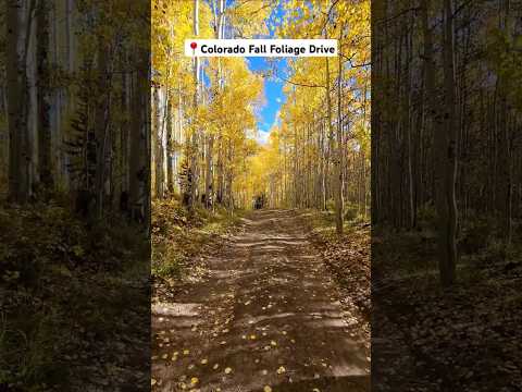 THE BEST FALL FOLIAGE DRIVE IN COLORADO: Kebler Pass in Crested Butte 🍁🍂