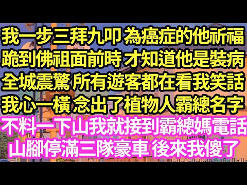 我一步三拜九叩 為癌症的他祈福，跪到佛祖面前時 才知道他是裝病，全城震驚 所有遊客都在看我笑話，我心一橫 念出了植物人霸總名字，不料一下山我就接到霸總媽電話，山腳停滿三隊豪車 後來我傻了#甜寵#小說