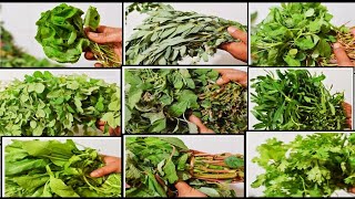 கீரைகள்ல இவ்வளவு வகையும் பயன்களும் இருக்கா?Keera Varieties Vlog in Tamil