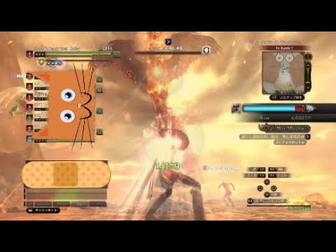 [DDON] WM　蘇りし絶望の炎　ファントムエッジで挑んでみた