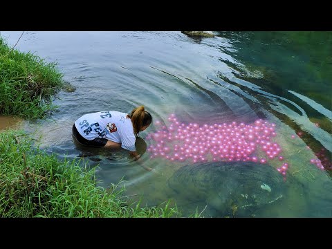 Clams display the charm of pearls in the water, and the girl quietly takes away the most perfect one