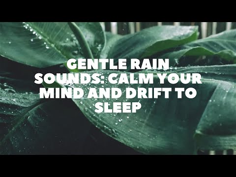 30 Minutes of Gentle Rain Sound : Calm Your Mind and Drift to Sleep | Sleep Therapy | Soothing Music