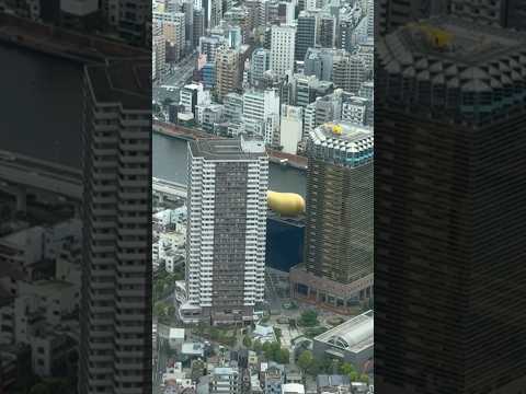 View of Asahi Beer HQ with golden structure (Asahi flame), from Tembo Deck (350m) of Tokyo Skytree!